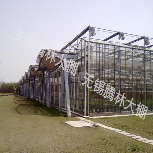 江阴文洛式玻璃温室