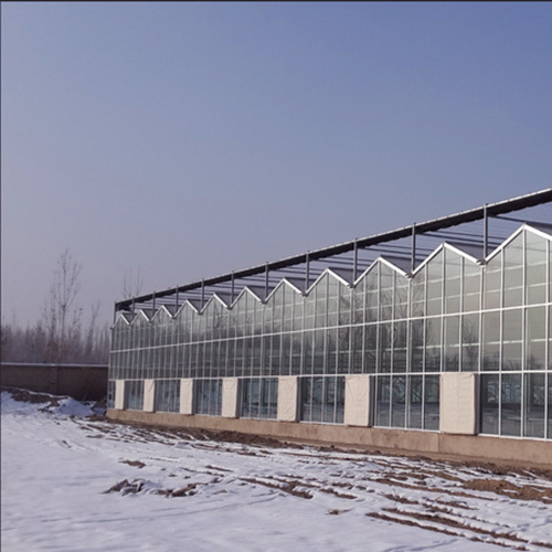 安徽文洛式玻璃温室
