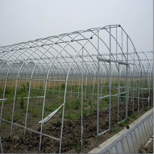 无锡大棚草莓养殖