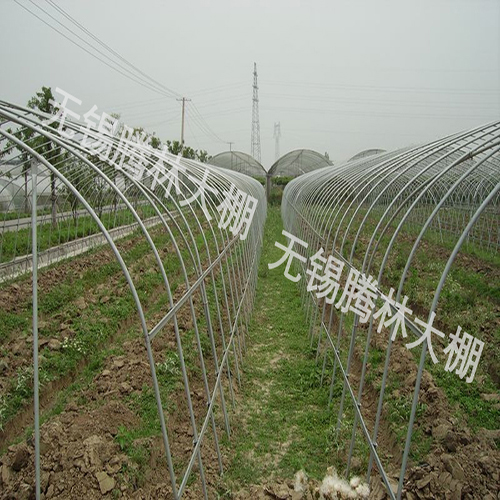 上海农用单体钢架大棚