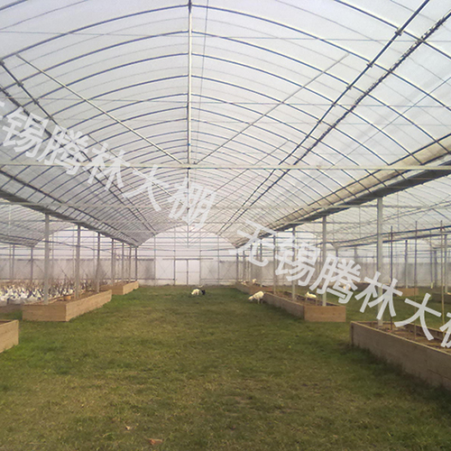 上海养殖温室大棚